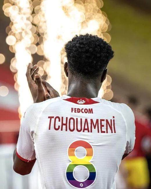 1668381797480027543.jpg 琼阿梅尼(1).jpg